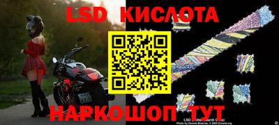 сатива Камышлов